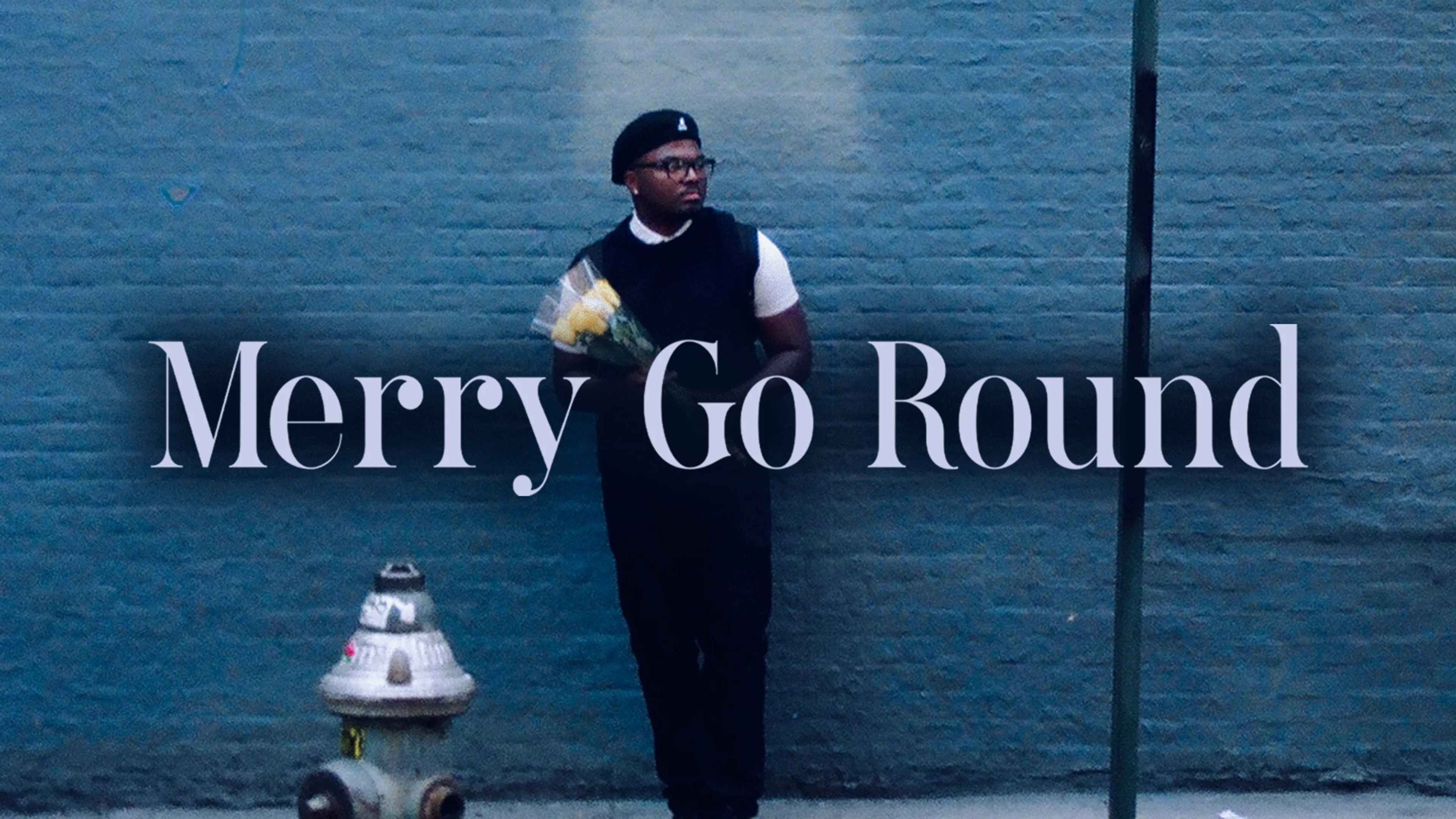 Merry Go Round poster